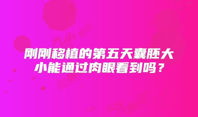 刚刚移植的第五天囊胚大小能通过肉眼看到吗？