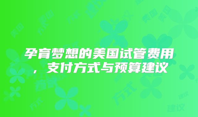 孕育梦想的美国试管费用，支付方式与预算建议