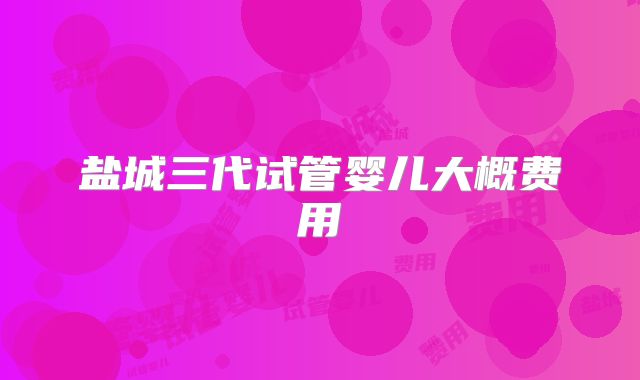 盐城三代试管婴儿大概费用