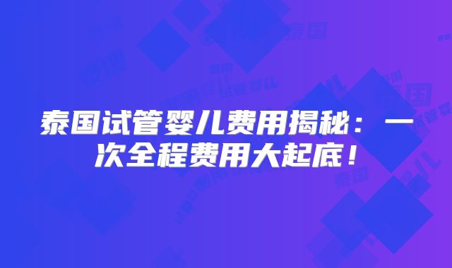 泰国试管婴儿费用揭秘：一次全程费用大起底！