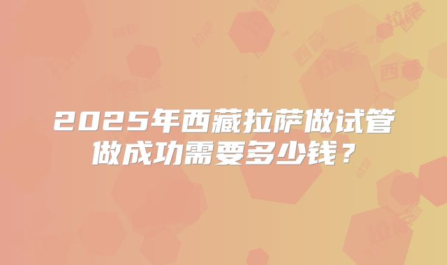2025年西藏拉萨做试管做成功需要多少钱？
