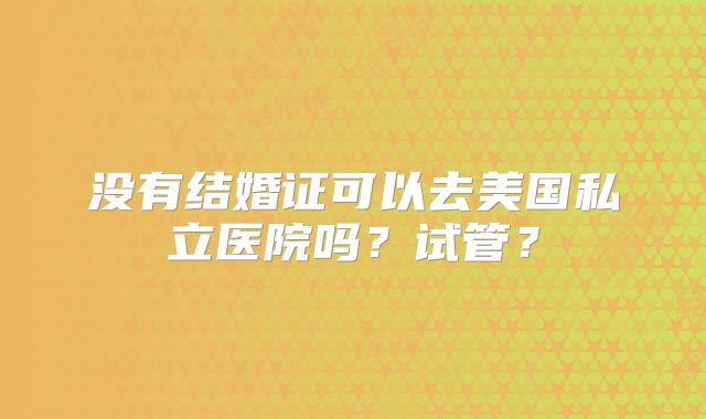没有结婚证可以去美国私立医院吗？试管？