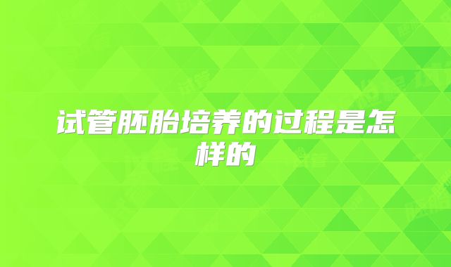 试管胚胎培养的过程是怎样的