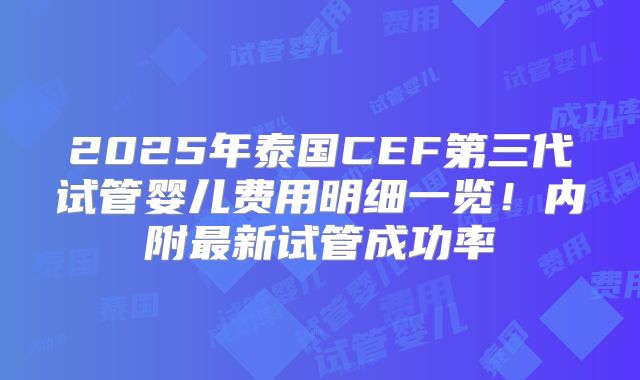2025年泰国CEF第三代试管婴儿费用明细一览！内附最新试管成功率