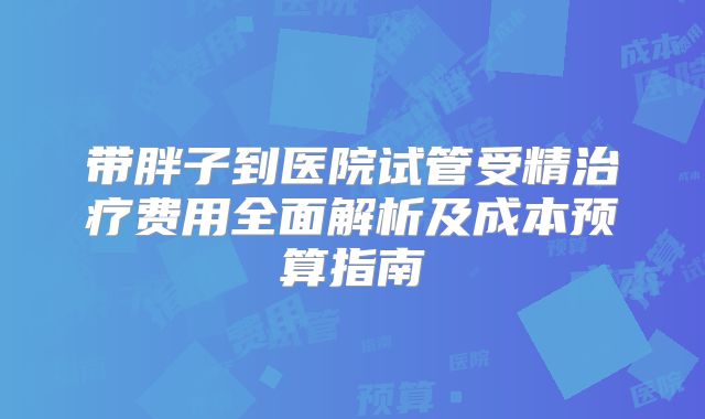 带胖子到医院试管受精治疗费用全面解析及成本预算指南