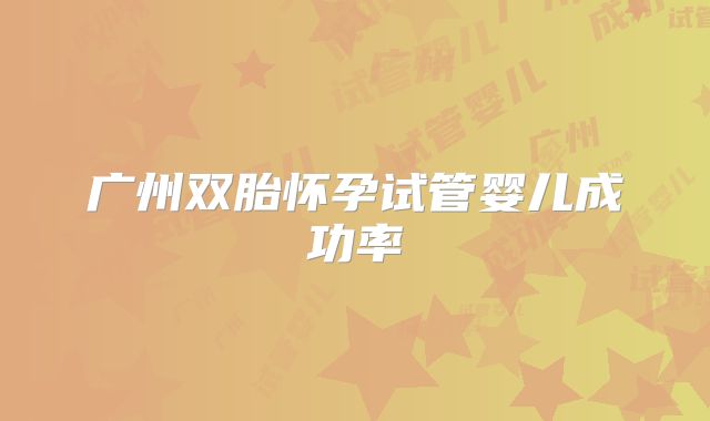 广州双胎怀孕试管婴儿成功率