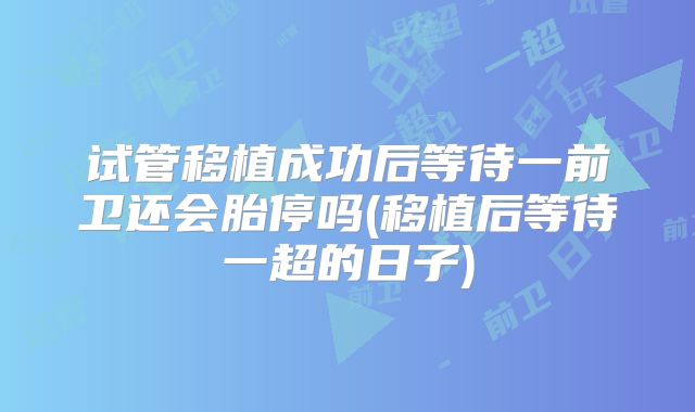 试管移植成功后等待一前卫还会胎停吗(移植后等待一超的日子)