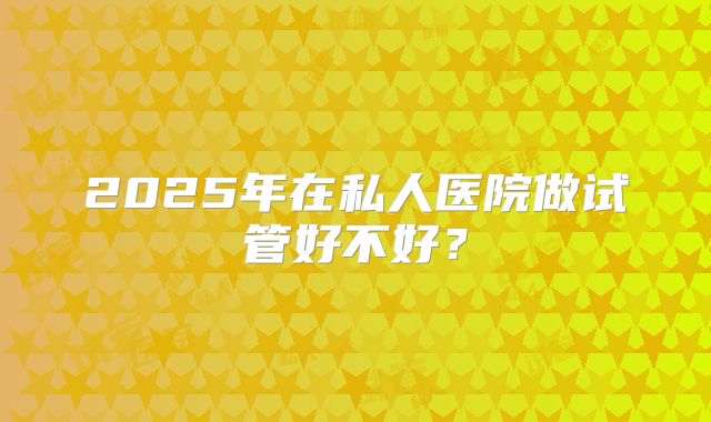 2025年在私人医院做试管好不好？