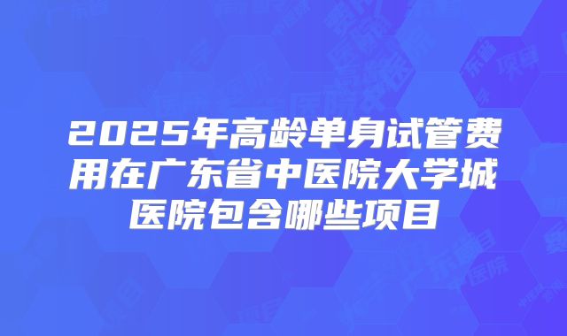 2025年高龄单身试管费用在广东省中医院大学城医院包含哪些项目