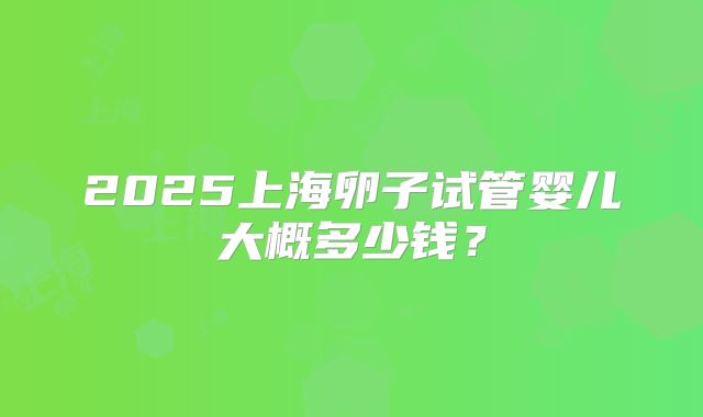 2025上海卵子试管婴儿大概多少钱？