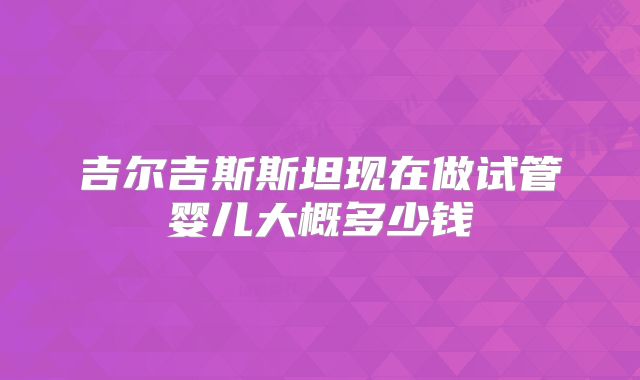 吉尔吉斯斯坦现在做试管婴儿大概多少钱