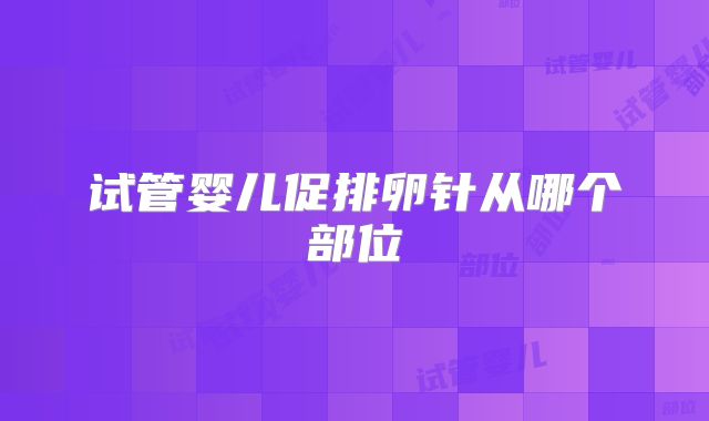 试管婴儿促排卵针从哪个部位