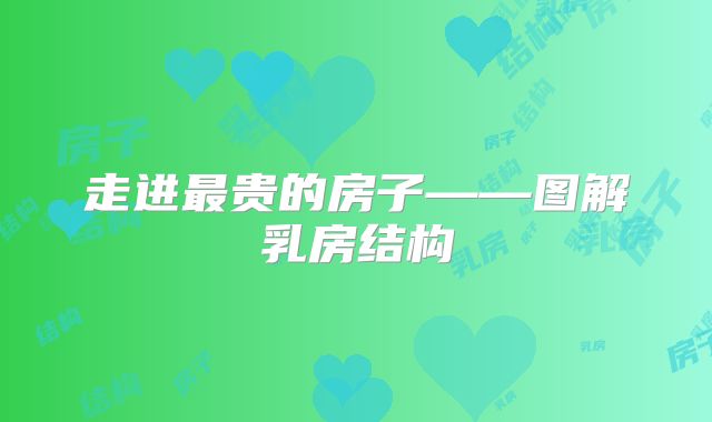 走进最贵的房子——图解乳房结构