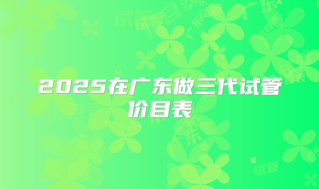 2025在广东做三代试管价目表
