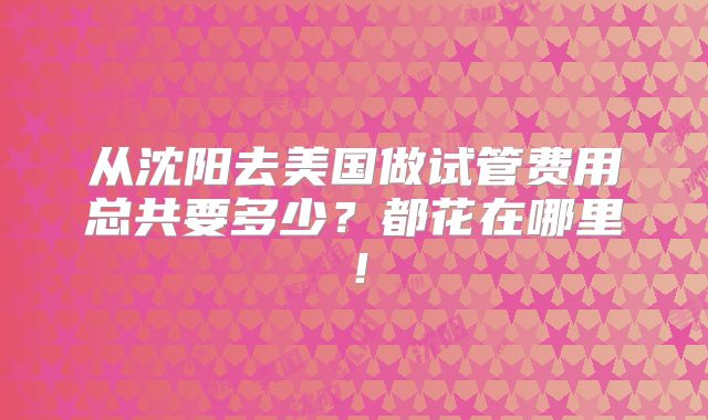 从沈阳去美国做试管费用总共要多少？都花在哪里！