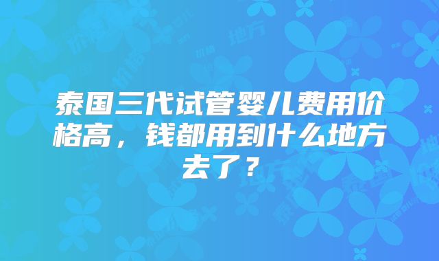 泰国三代试管婴儿费用价格高，钱都用到什么地方去了？
