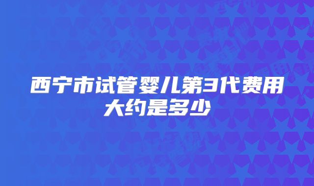西宁市试管婴儿第3代费用大约是多少