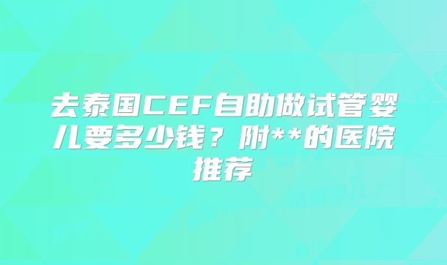 去泰国CEF自助做试管婴儿要多少钱？附**的医院推荐
