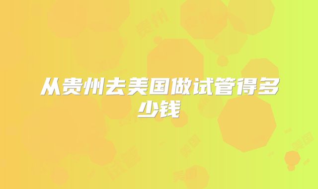 从贵州去美国做试管得多少钱