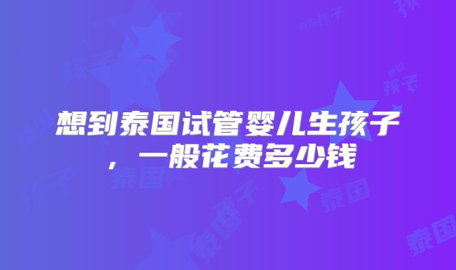 想到泰国试管婴儿生孩子，一般花费多少钱