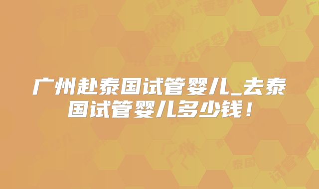 广州赴泰国试管婴儿_去泰国试管婴儿多少钱!