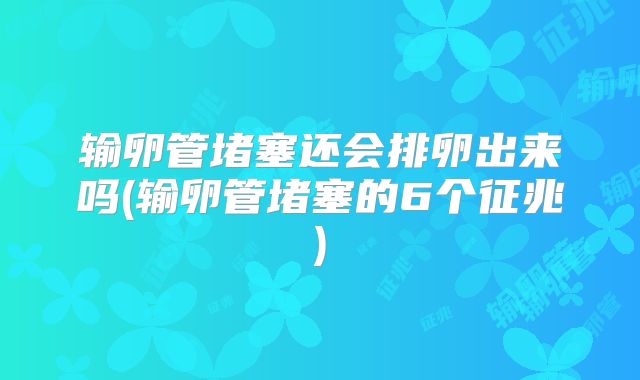 输卵管堵塞还会排卵出来吗(输卵管堵塞的6个征兆)