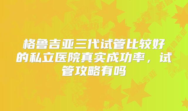 格鲁吉亚三代试管比较好的私立医院真实成功率，试管攻略有吗