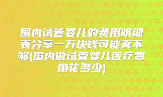 国内试管婴儿的费用明细表分享一万块钱可能真不够(国内做试管婴儿医疗费用花多少)