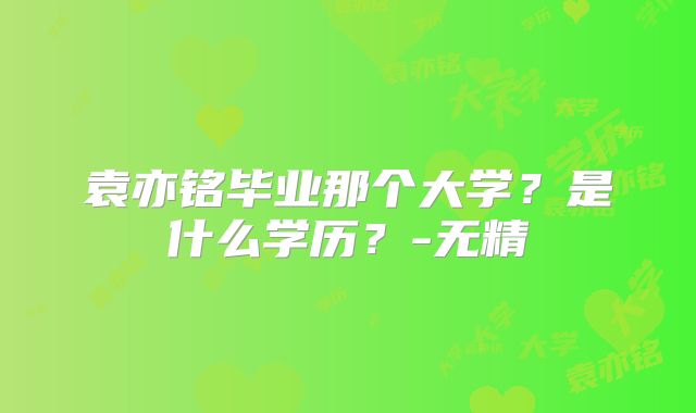 袁亦铭毕业那个大学？是什么学历？-无精