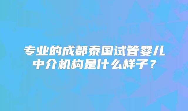 专业的成都泰国试管婴儿中介机构是什么样子？