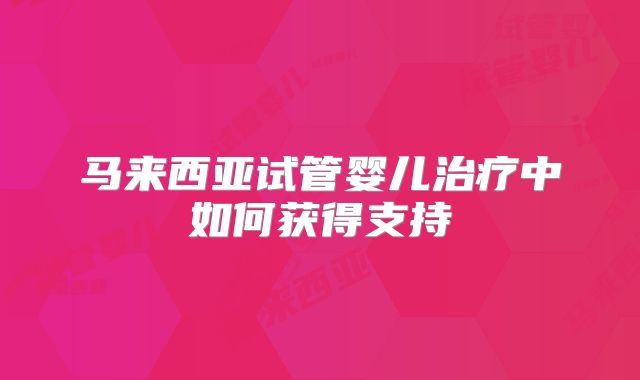 马来西亚试管婴儿治疗中如何获得支持