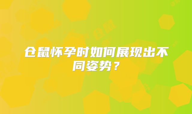 仓鼠怀孕时如何展现出不同姿势？