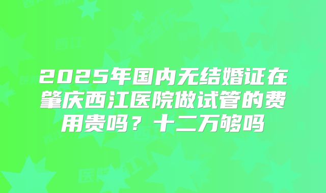 2025年国内无结婚证在肇庆西江医院做试管的费用贵吗？十二万够吗