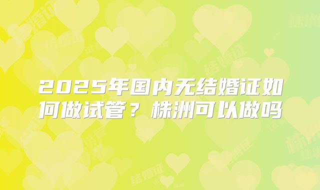2025年国内无结婚证如何做试管?株洲可以做吗