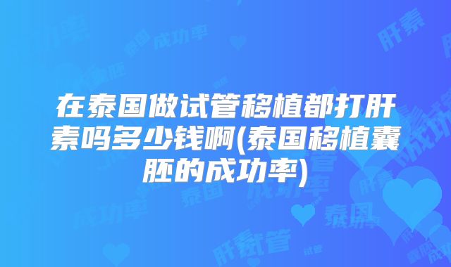 在泰国做试管移植都打肝素吗多少钱啊(泰国移植囊胚的成功率)