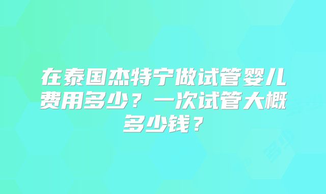 在泰国杰特宁做试管婴儿费用多少？一次试管大概多少钱？
