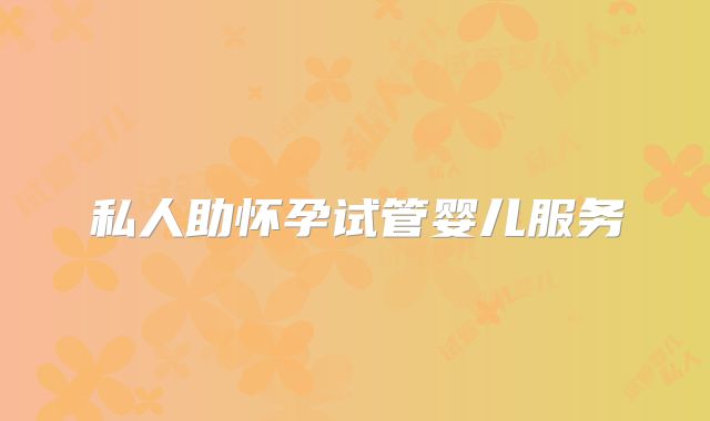 私人助怀孕试管婴儿服务