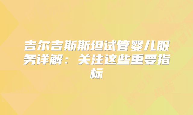 吉尔吉斯斯坦试管婴儿服务详解：关注这些重要指标