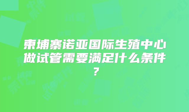 柬埔寨诺亚国际生殖中心做试管需要满足什么条件?