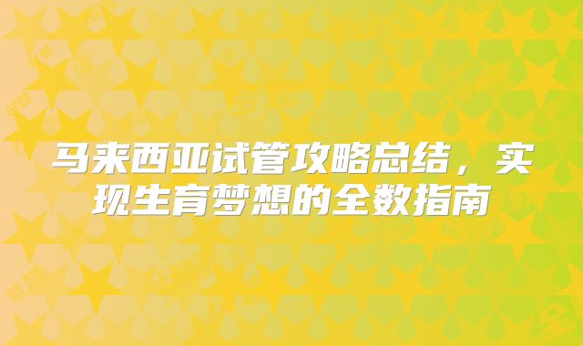 马来西亚试管攻略总结，实现生育梦想的全数指南