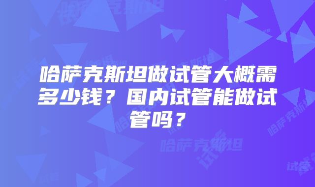 哈萨克斯坦做试管大概需多少钱?国内试管能做试管吗?