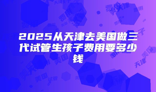 2025从天津去美国做三代试管生孩子费用要多少钱