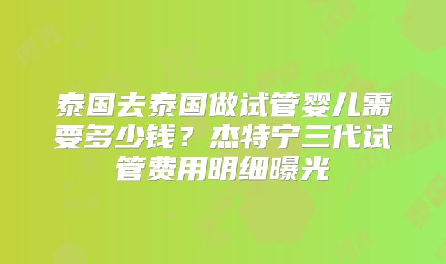 泰国去泰国做试管婴儿需要多少钱？杰特宁三代试管费用明细曝光