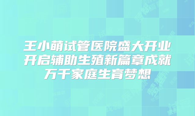 王小萌试管医院盛大开业开启辅助生殖新篇章成就万千家庭生育梦想