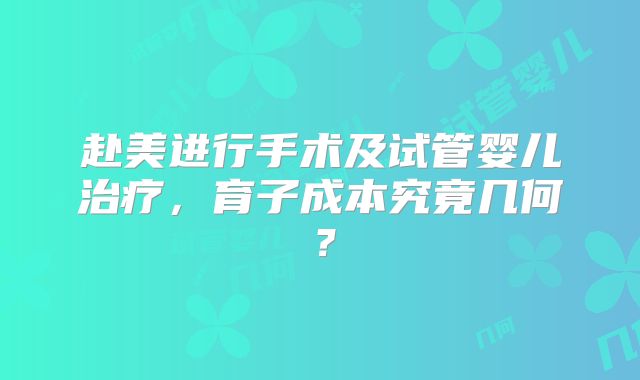 赴美进行手术及试管婴儿治疗，育子成本究竟几何？