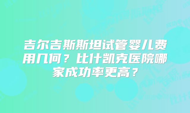 吉尔吉斯斯坦试管婴儿费用几何？比什凯克医院哪家成功率更高？