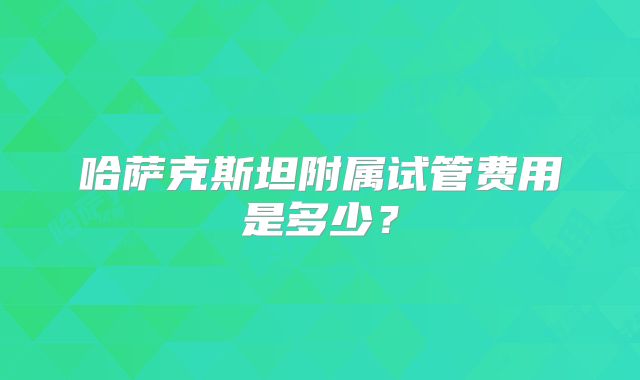 哈萨克斯坦附属试管费用是多少？