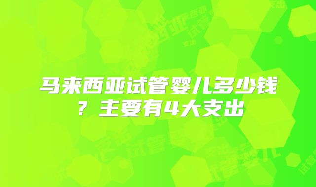 马来西亚试管婴儿多少钱？主要有4大支出