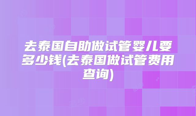 去泰国自助做试管婴儿要多少钱(去泰国做试管费用查询)