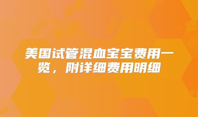 美国试管混血宝宝费用一览，附详细费用明细